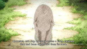 JuJu Reviews: Haruchika Episode 5 (Elephant's Breath)