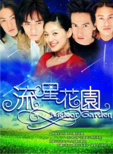 Taiwan's Meteor Garden