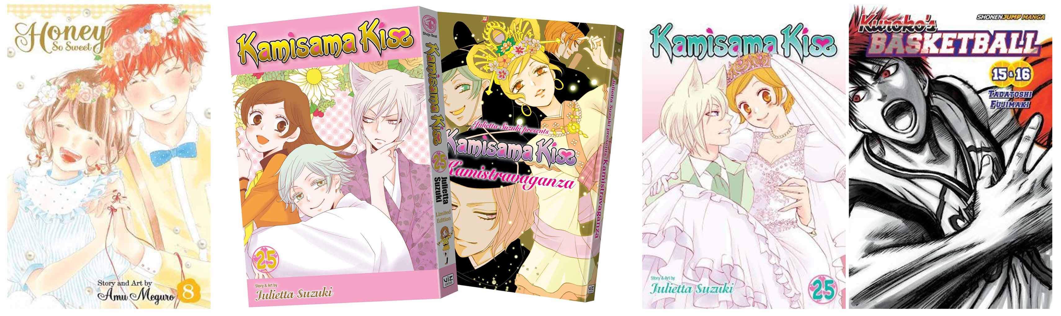 VIZ  See Kamisama Kiss Limited Edition, Vol. 25