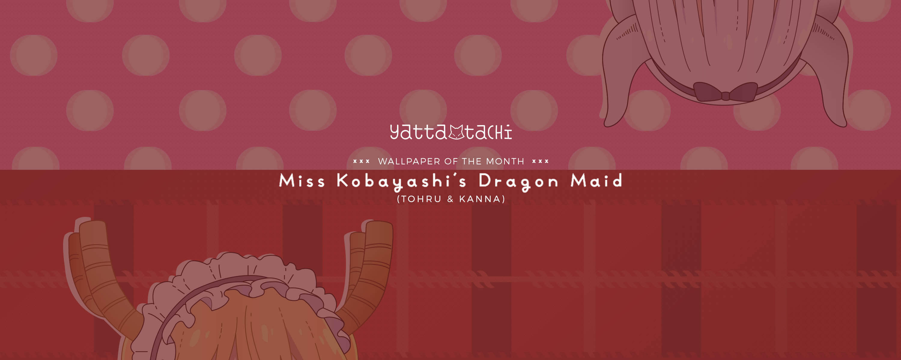 Kobayashi San Chi No Maid Dragon Miss Kobayashis Dragon Maid Mobile  Anime Board HD phone wallpaper  Pxfuel