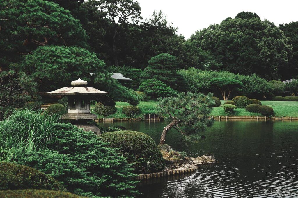 Japanese garden