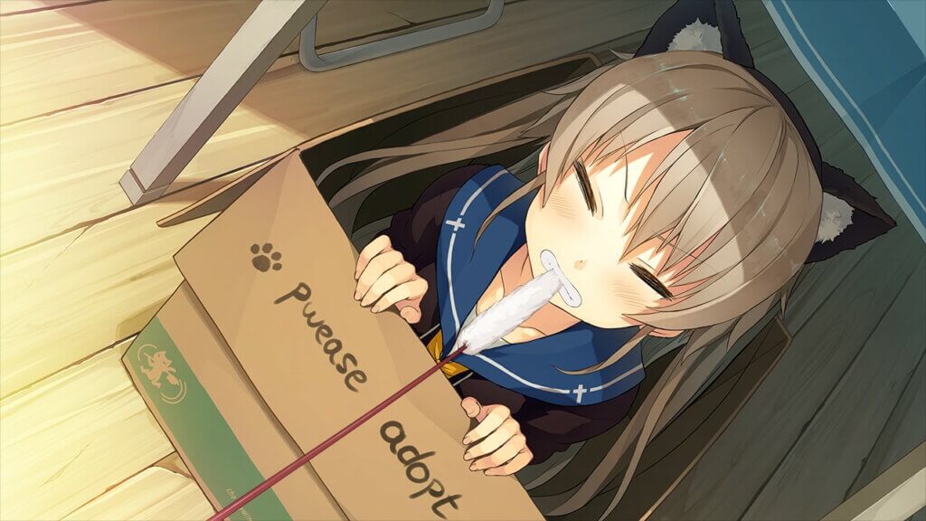 Aokana Mashiro is sitting in a box that reads, "Pwease adopt." She's wearing cat ears and she's biting down on a cat toy.