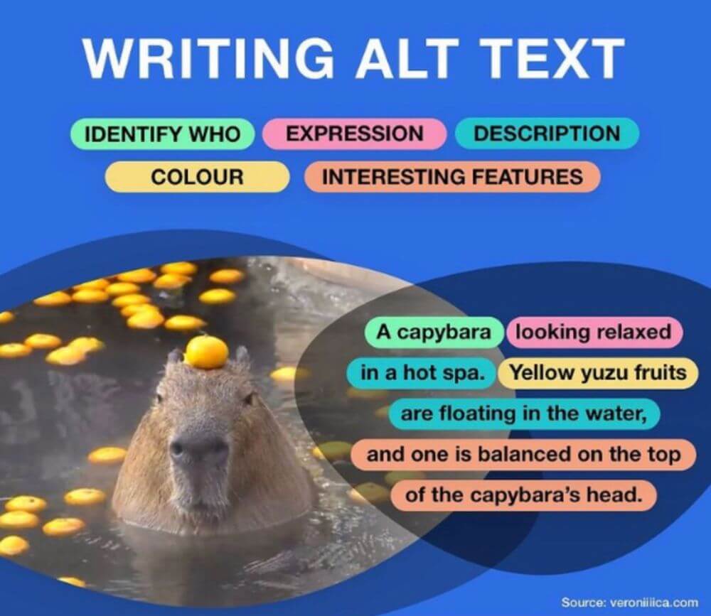 Text: "Writing ALT Text. Identify who, expression, description, colour, and interesting features." A picture of a capybara looking relaxed in a hot spa. Yellow yuzu fruits are floating in the water and one is balanced on the top of the capybara's head.