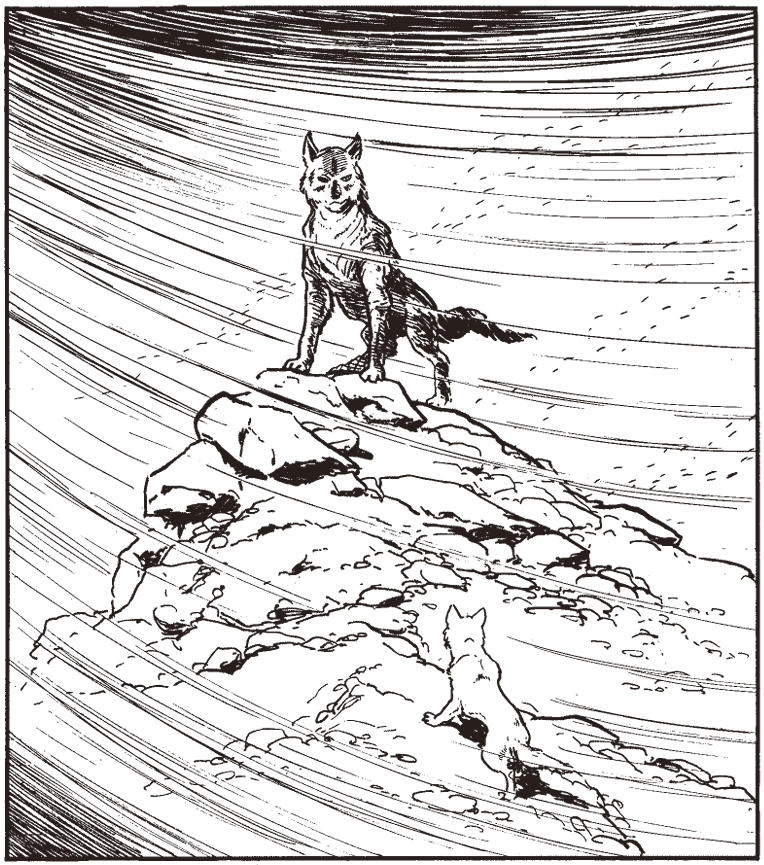 legend of kamui image. a small white wolf pup gazes up at a grey wolf standing at the top of a rocky hill.