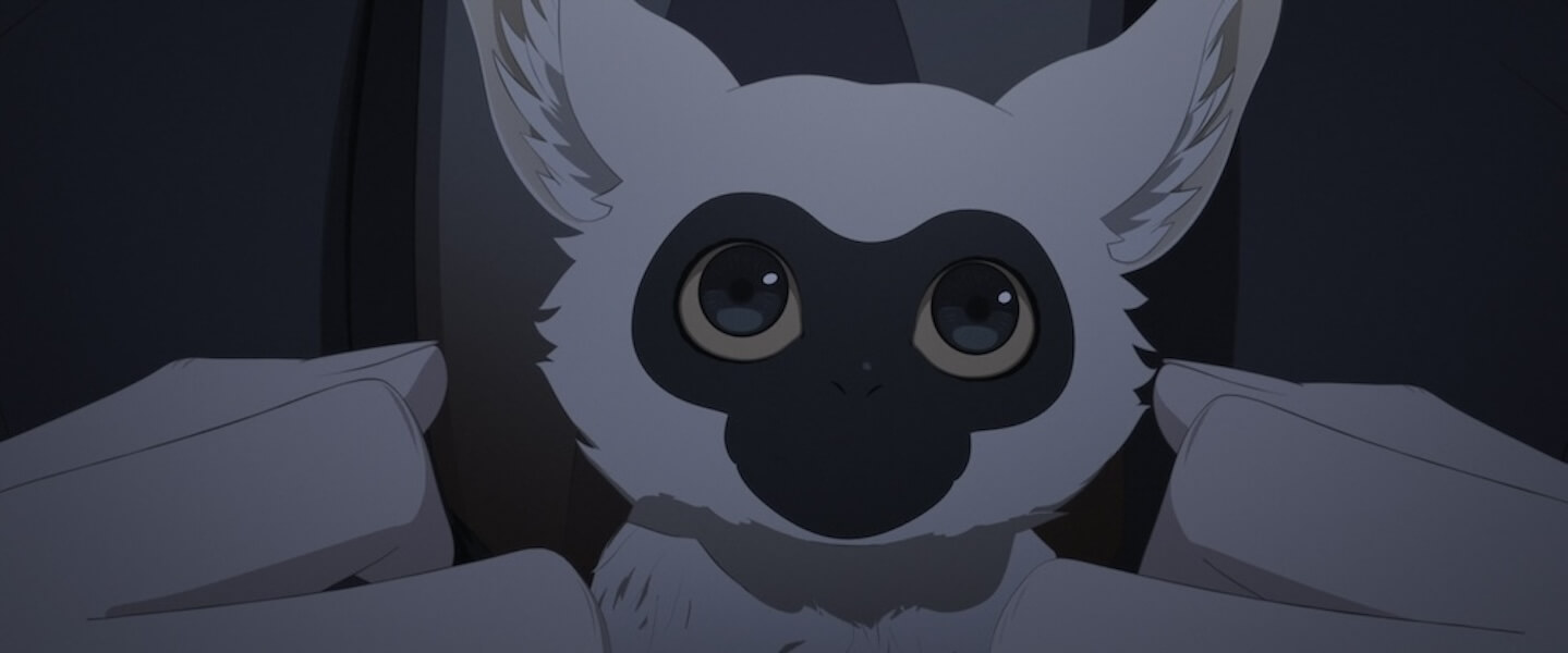 Close-up of the loris, a primate with black-and-white fur, big eyes, and pointed ears, between two hands.