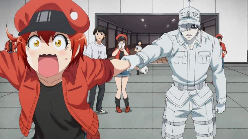 A girl in a red delivery-person outfit begins to run off with a bug-eyed expression, but is held back by a man in all white overalls who has a grim and exhausted experience. His skin is pure white, whilst her is more of a natural peach. She is a red blood cell, and he is a white blood cell.