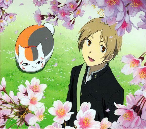  A high school boy with sandy coloured hair gazes up at cherry blossoms. He has a fat round cat with a bob tail with him. The cat has a white face and stomach, and his back half orange and half grey. He has red markings on his face, like those on a maneki-neko.